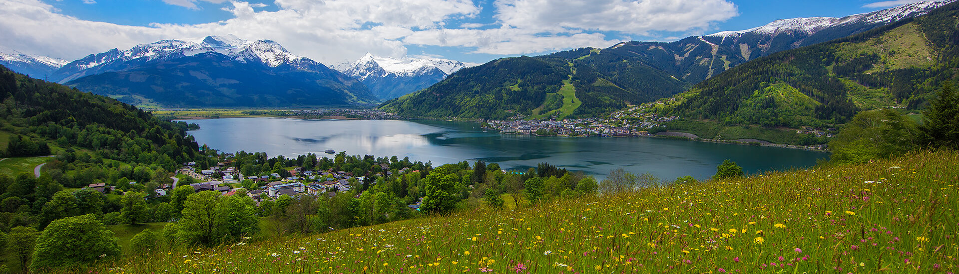 Blick auf den Zeller See, umliegende Berge und blühende Wiesen bei Bruckberg, Salzburger Land.
